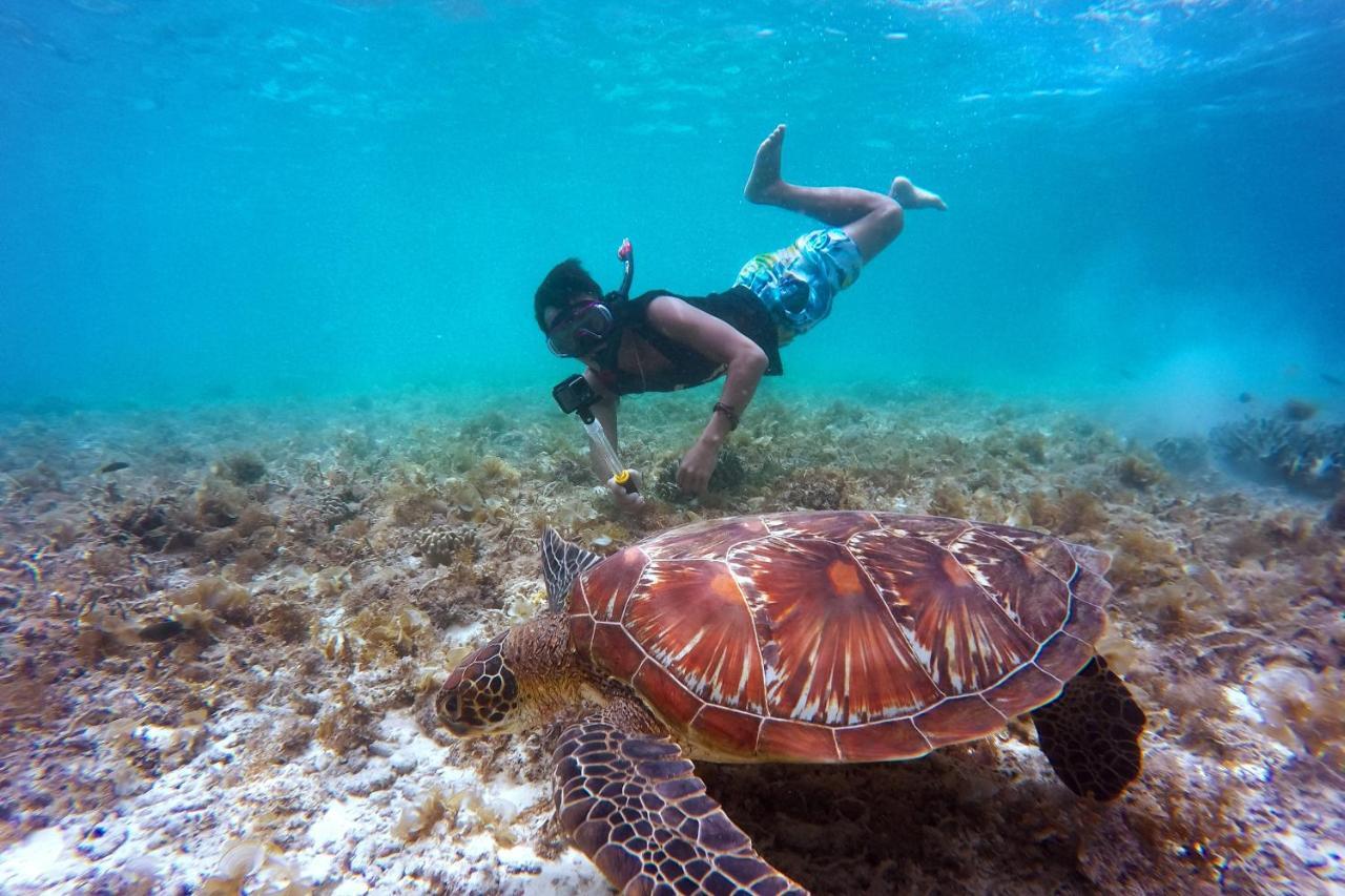Metita Beach & Dive Resort Daruba المظهر الخارجي الصورة